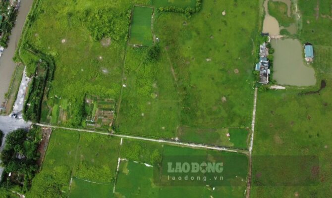 Đảm bảo tiến độ dự án Kiến Giang Thái Bình đúng mục tiêu 2025-2030